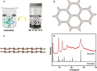 Conductive Metal-Organic Frameworks for Amperometric Sensing of Paracetamol